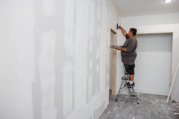 Best Mold Odor Removal Services  in Marlborough, MO