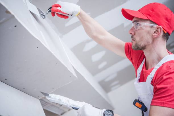 Best Black Mold Removal  in Marlborough, MO